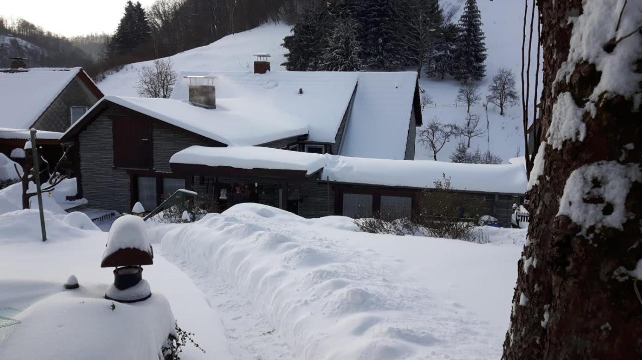 Haus Wiesenblick Walkenried ภายนอก รูปภาพ
